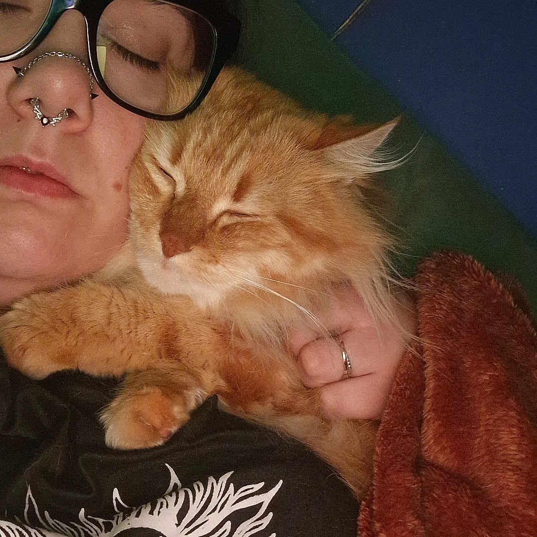 Kovu a rejoint le concours — aidez-le/la à gagner de superbes lots ! person, cat, glasses, nose_ring, orange_cat, sleeping, cozy, blanket, indoor, close_up, pet, snuggling, resting, comfort, fur, hand, tshirt, face, eyewear, relaxation