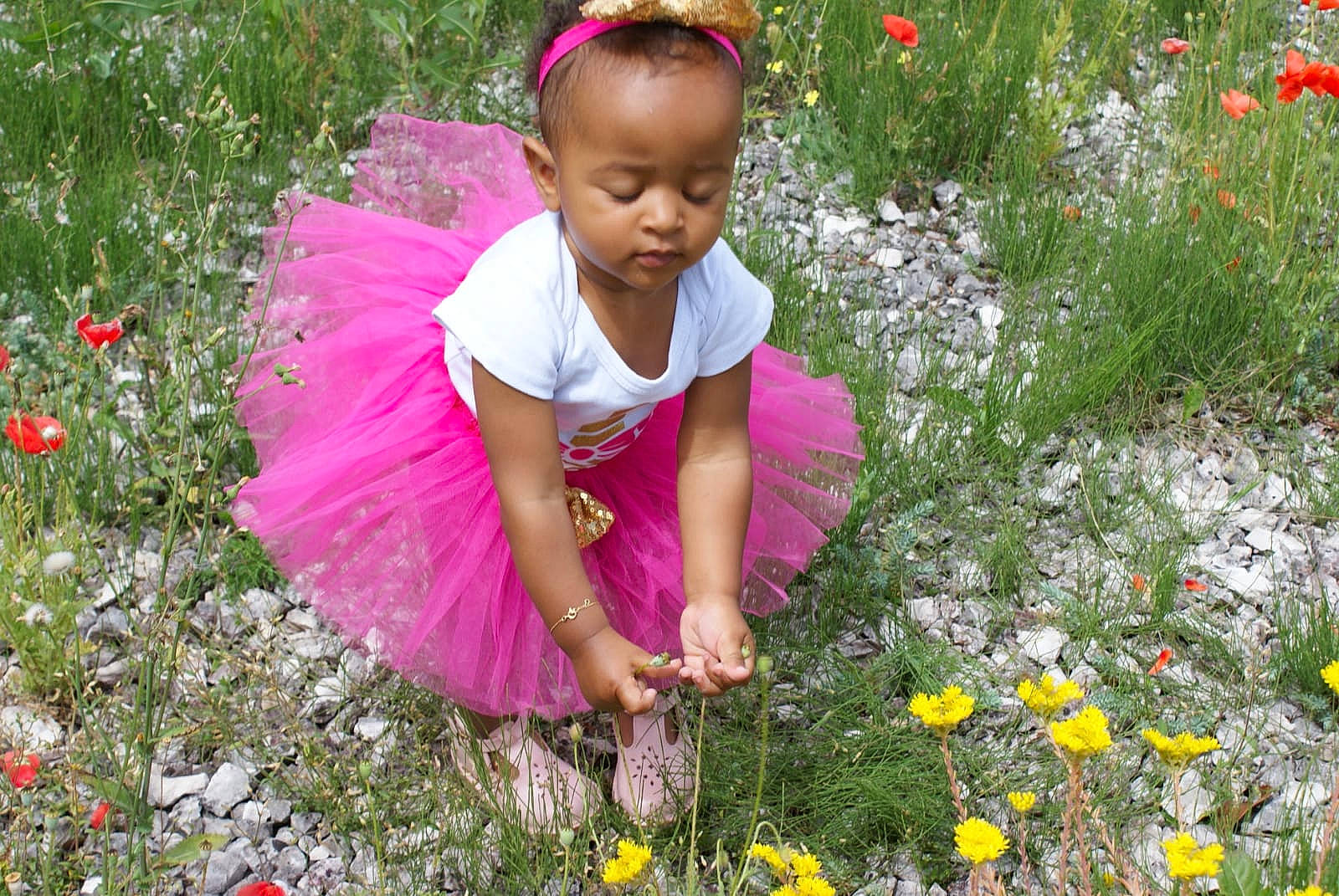 Maëva Nyota participe au concours pour gagner de l'argent avec cette photo : annual_plant, botanical_garden, botany, child, flower, grass, grass_family, groundcover, happy, herbaceous_plant, meadow, people_in_nature, perennial_plant, person, petal, plant, play, spring, toddler, wildflower