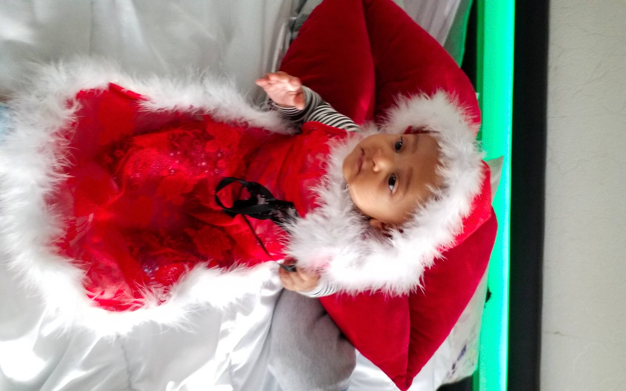 Maëva Nyota participe au concours pour gagner de l'argent avec cette photo : canidae, christmas, companion_dog, fictional_character, fur, person, pomeranian, puppy, red, santa_claus