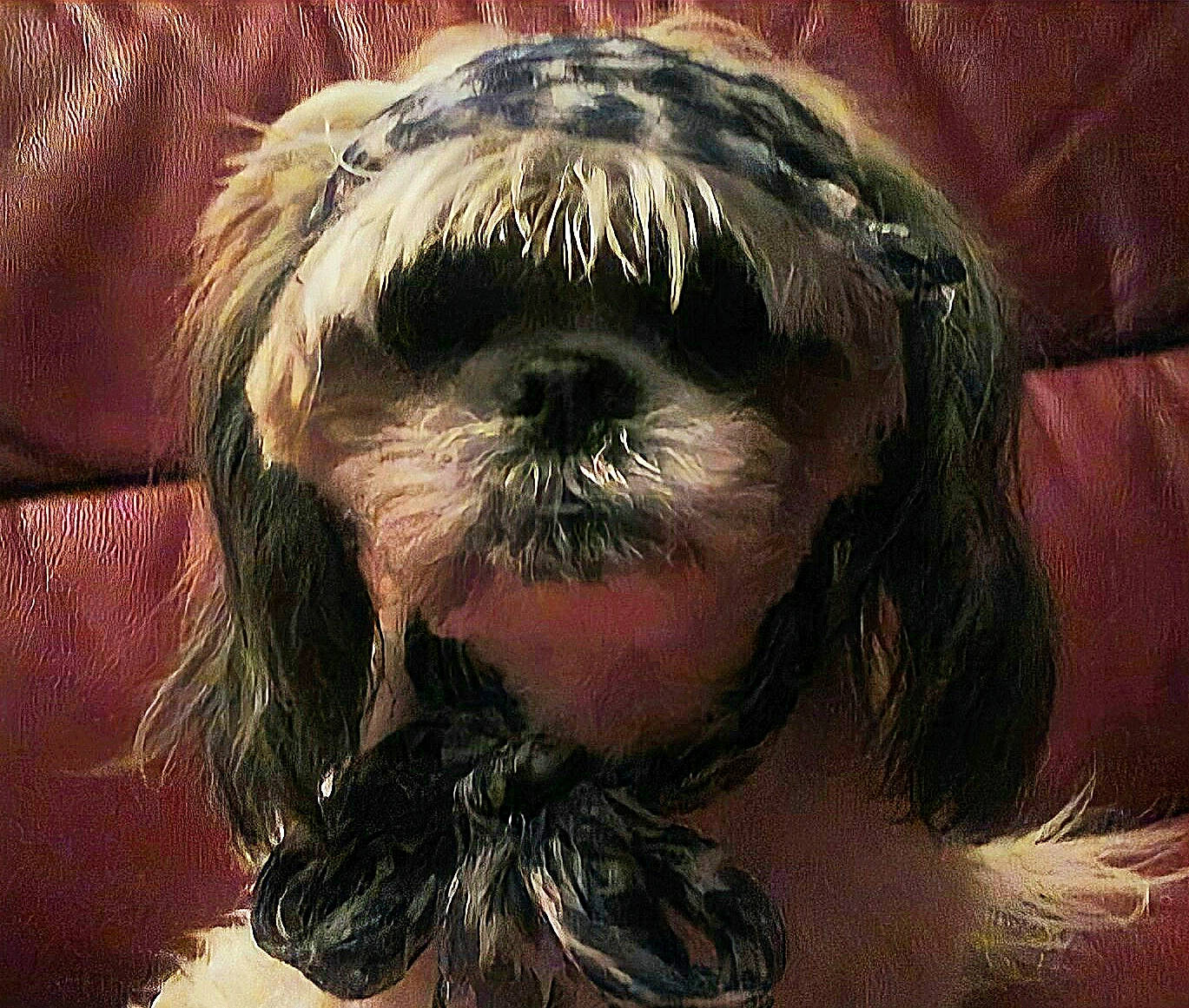 Hyzis participe au concours pour gagner de l'argent avec cette photo : art, beard, canidae, cg_artwork, companion_dog, dog_breed, fashion_accessory, feather, fictional_character, fur, helmet, illustration, liver, painting, personal_protective_equipment, selfie, sporting_group, terrier, toy_dog, whiskers