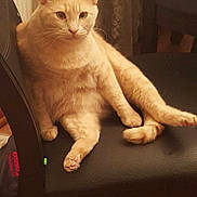 Fuzzy is registered to the contest to win money with this photo: