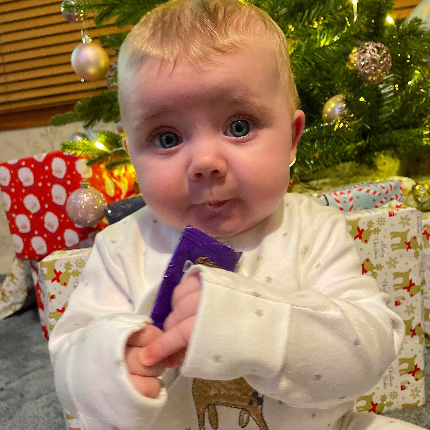 Ruby is registered to the contest to win money with this photo: accessories, animal, architecture, baby, bag, beak, bird, blonde, bodypart, bookcase, brush, building, chair, christmas, christmasdecorations, christmastree, clothing, coat, conifer, costume