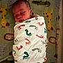 newborn, baby, sleeping, blanket, swaddled, footprints, animal_print, giraffe, lion, crocodile, soft_texture, infant, resting, cute, cozy, nursery, child, portrait, indoors, peaceful