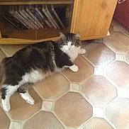 Coca participe au concours pour gagner de l'argent avec cette photo :