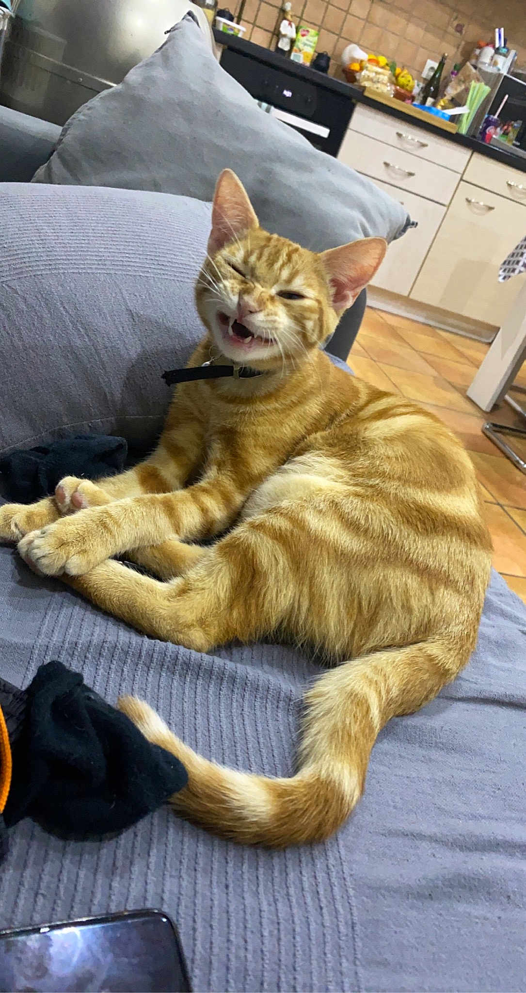 Simba