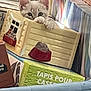 Snowflake is registered to the contest to win money with this photo: kitten, cat, peeking, ceramic_house, paws, curious, boxes, basket, indoor, closeup, pet, animal, playful, cute, soft_fur, decor, container, sitting, small, young