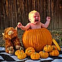 Ezra is registered to the contest to win money with this photo: baby, pumpkin, crying, stuffed_animal, plush_toy, outdoor, blanket, fall, autumn, orange, wooden_fence, small_pumpkins, child, cute, expression, nature, grass, toy, seasonal, holiday