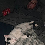 Lucifer is registered to the contest to win money with this photo: beard, black_and_white_cat, blanket, casual, cat, clothing, couch, cozy, dark, fur, furniture, indoor, man, nap, pet, relaxing, rest, ritz_crackers, sleeping, snack