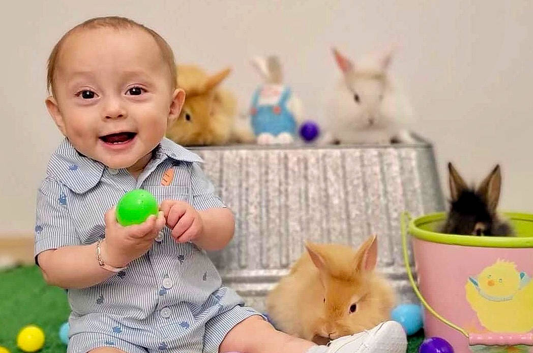 Nickolas joined the competition — help win amazing prizes! baby, baby_playing_with_toys, baby_toddler_clothing, child, companion_dog, fawn, felidae, fun, happy, joy, mammal, person, photograph, play, sitting, skin, smile, snapshot, tableware, thumb