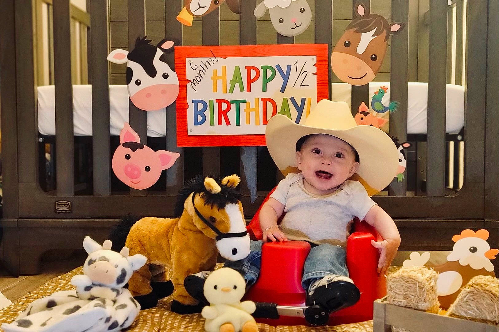 Nickolas is registered to the contest to win money with this photo: art, child, fawn, fedora, fun, happy, hat, headgear, headwear, mammal, person, photograph, plush, shelf, snapshot, stuffed_toy, sun_hat, textile, toy, vertebrate