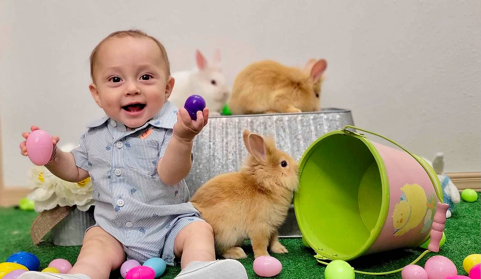 Nickolas joined the competition — help win amazing prizes! art, baby, baby_playing_with_toys, baby_toddler_clothing, cat, child, easter, event, fawn, grass, happy, joy, mammal, person, pink, rabbit, skin, smile, toddler, toy