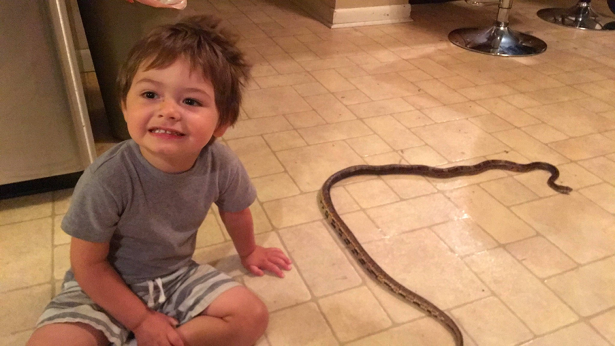 Derrick Jr. joined the competition — help win amazing prizes! burmese_python, child, colubridae, corn_snake, floor, flooring, joy, leg, person, play, python, python_family, reptile, scaled_reptile, snake, tile, toddler