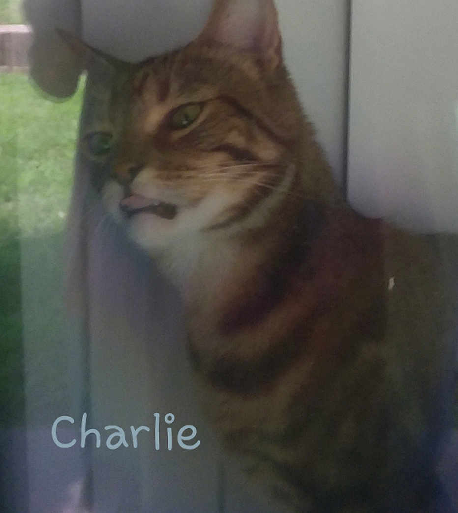 Charlie