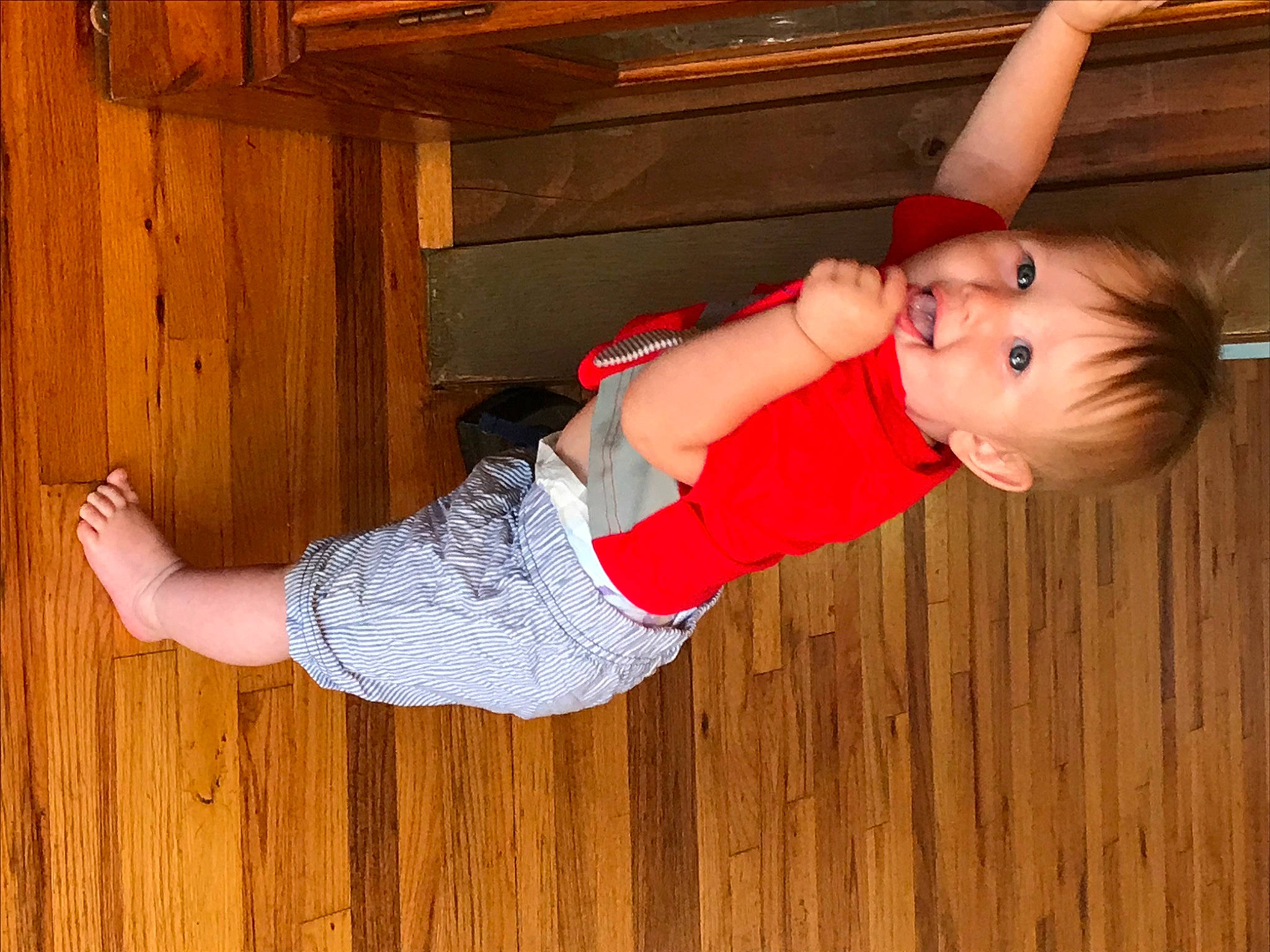 Westley is registered to the contest to win money with this photo: abdomen, arm, child, elbow, hip, leg, person, trunk, wood