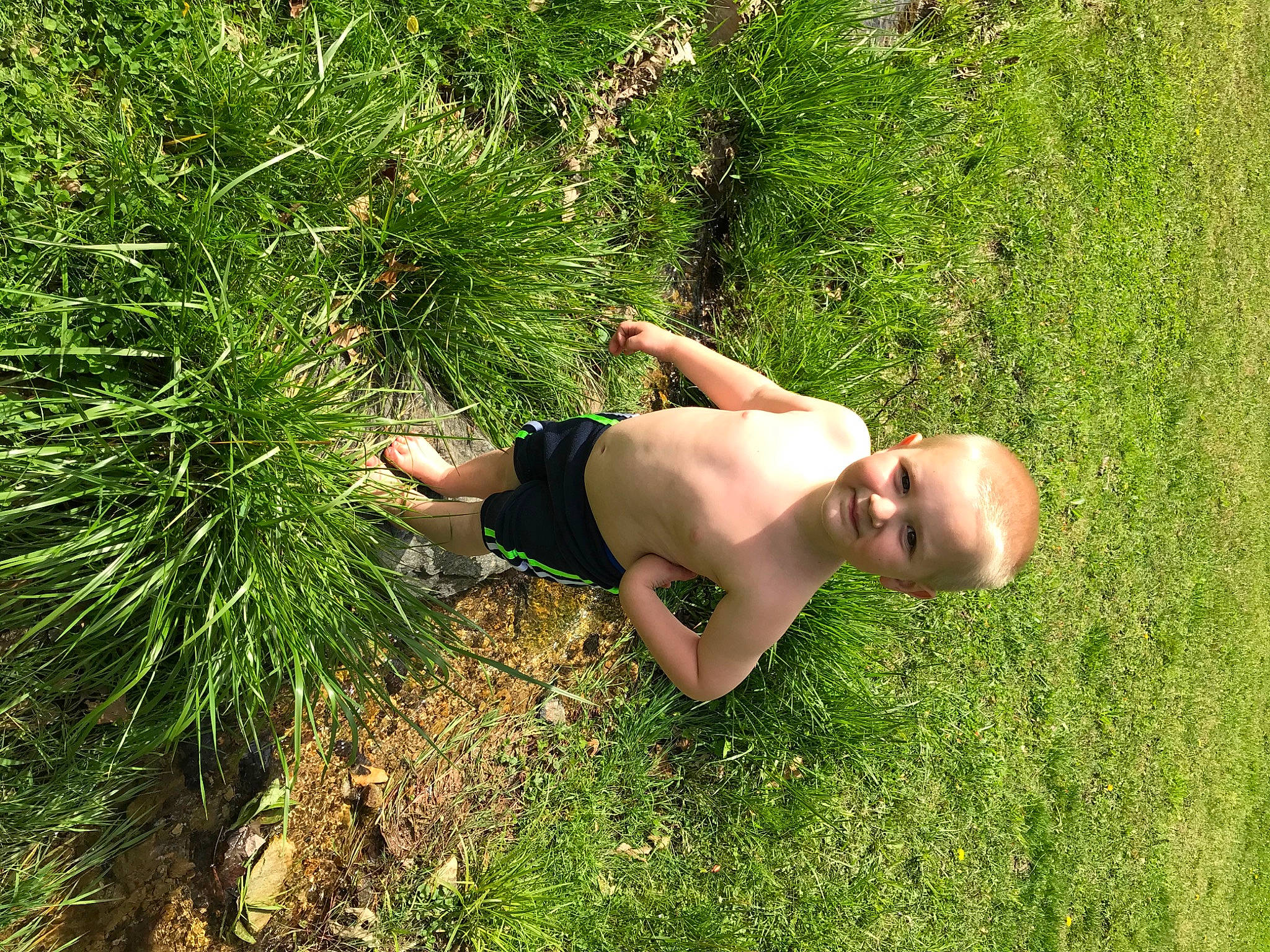 Conor joined the competition — help win amazing prizes! grass, grass_family, green, joy, people_in_nature, person, plant, tree