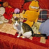 animal, bed, cat, cozy, domestic_cat, fabric, fur, garfield, indoor, orange, pattern, pet, pillow, plush_toy, quilt, resting, soft_toy, striped, stuffed_animal, white