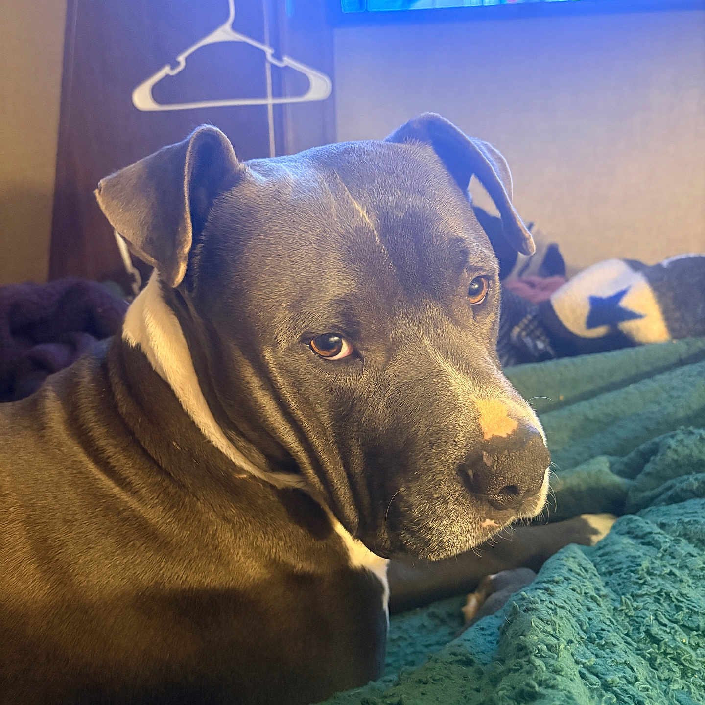 Diesel