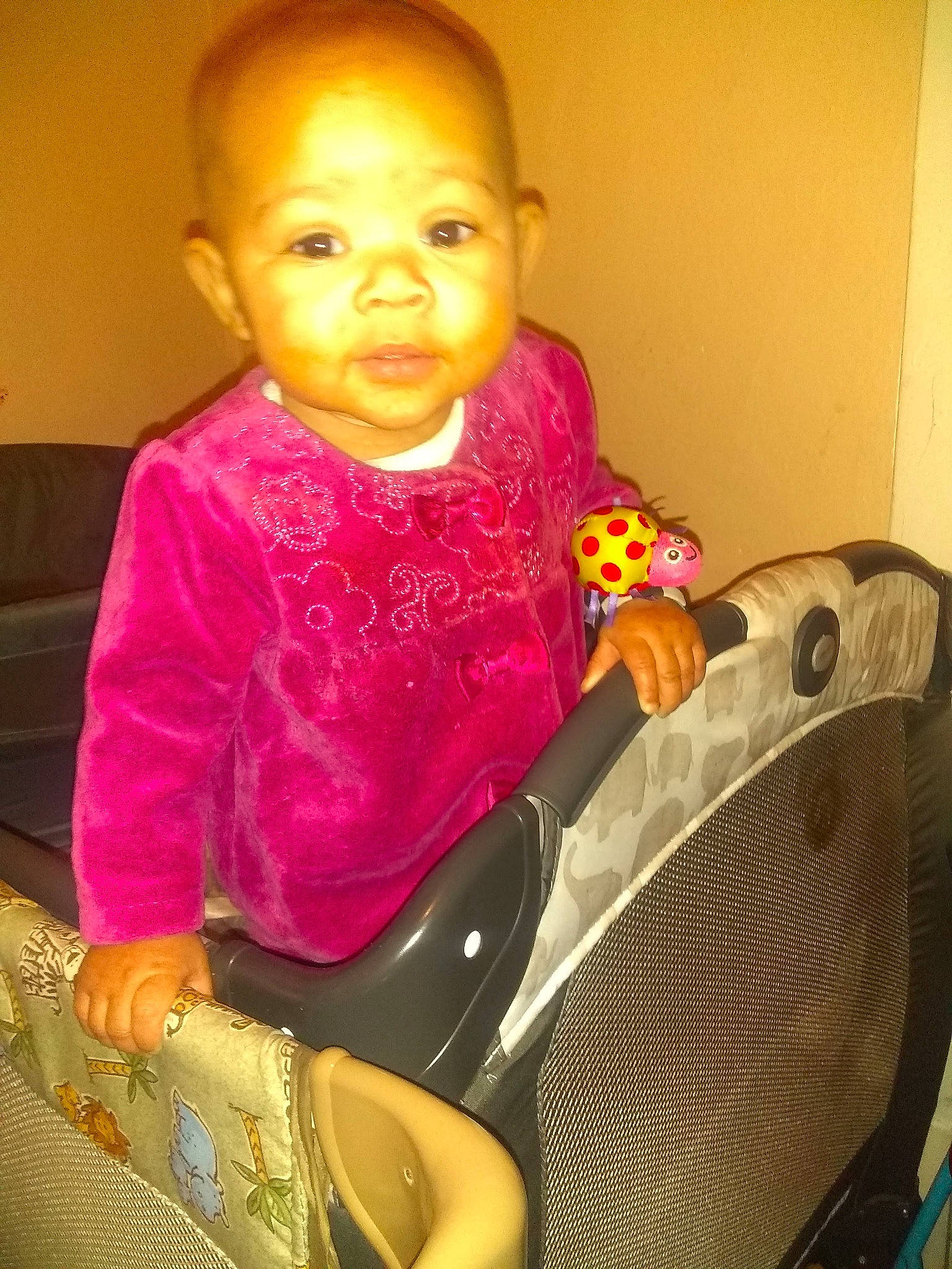 Miami joined the competition — help win amazing prizes! arm, baby, baby_toddler_clothing, child, comfort, cool, dress, eye, face, happy, head, human_body, iris, leg, nose, organ, person, pink, skin, toddler