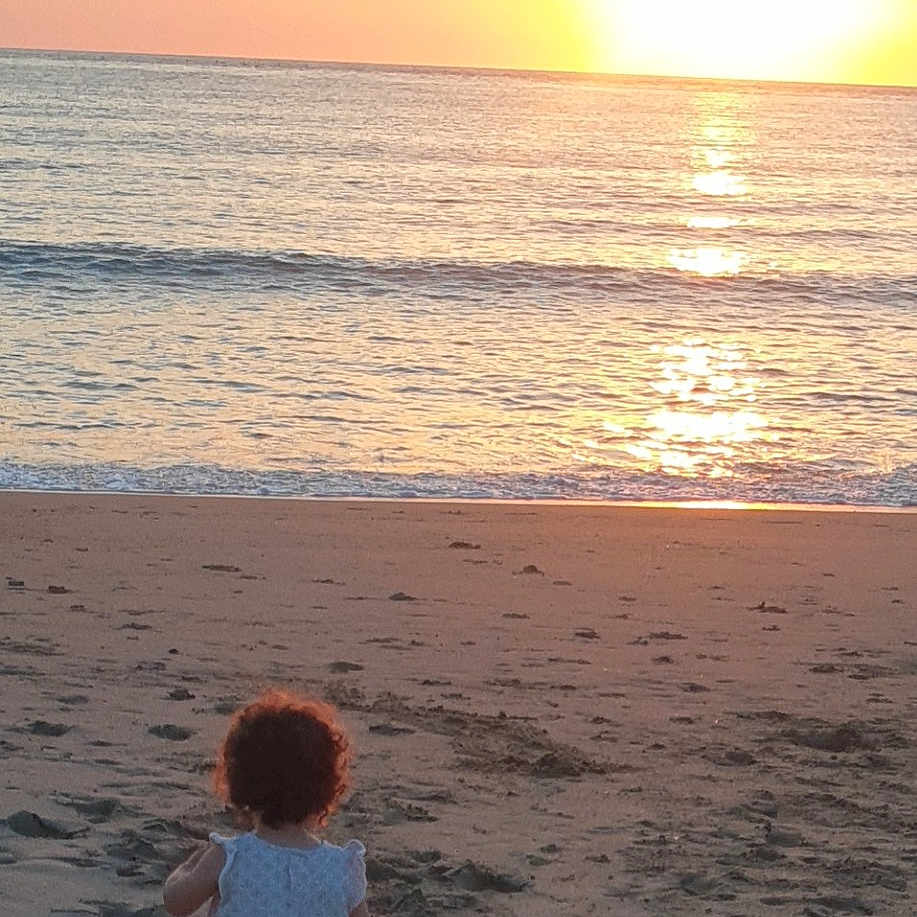 Lana a rejoint le concours — aidez-le/la à gagner de superbes lots ! afterglow, astronomical_object, beach, cloud, coastal_and_oceanic_landforms, dusk, happy, horizon, light, natural_environment, people_in_nature, people_on_beach, red_sky_at_morning, sky, summer, sunlight, sunrise, tree, water, wind_wave
