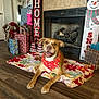 dog, bandana, blanket, fireplace, holiday, christmas, decorations, presents, floor, wood_floor, smiling, indoor, cozy, festive, home, carpet, animal, pet, happy, seasonal