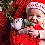 baby, infant, santa_hat, christmas, holiday, plush_toy, red_blanket, smiling, face, hands, cozy, festive, decor, christmas_tree, cute, indoors, child, soft_toy, happy, holiday_season