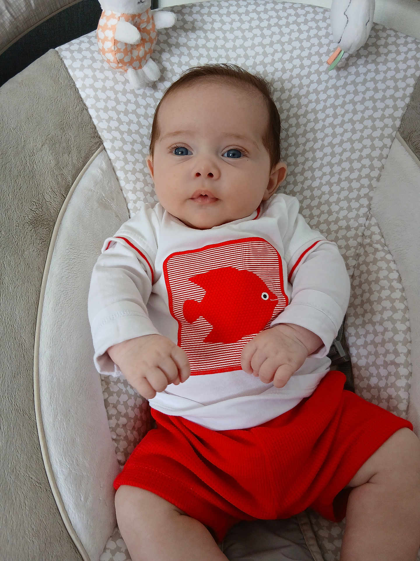 Matéo a rejoint le concours — aidez-le/la à gagner de superbes lots ! baby, infant, child, face, blue_eyes, white_shirt, red_shorts, fish_graphic, cushioned_seat, plush_toy, soft_fabric, indoor, portrait, cute, small_hands, sitting, curious, young, clothing, person