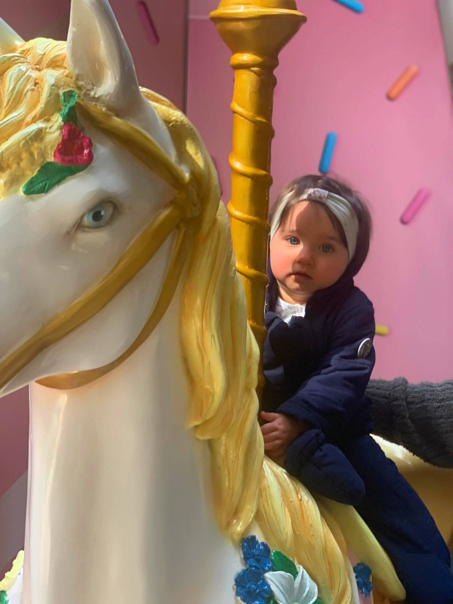 Lexa participe au concours pour gagner de l'argent avec cette photo : amusement_park, amusement_ride, bridle, carousel, event, fawn, fictional_character, fun, happy, horse, horse_tack, leisure, livestock, mane, mare, nonbuilding_structure, person, recreation, statue, toddler