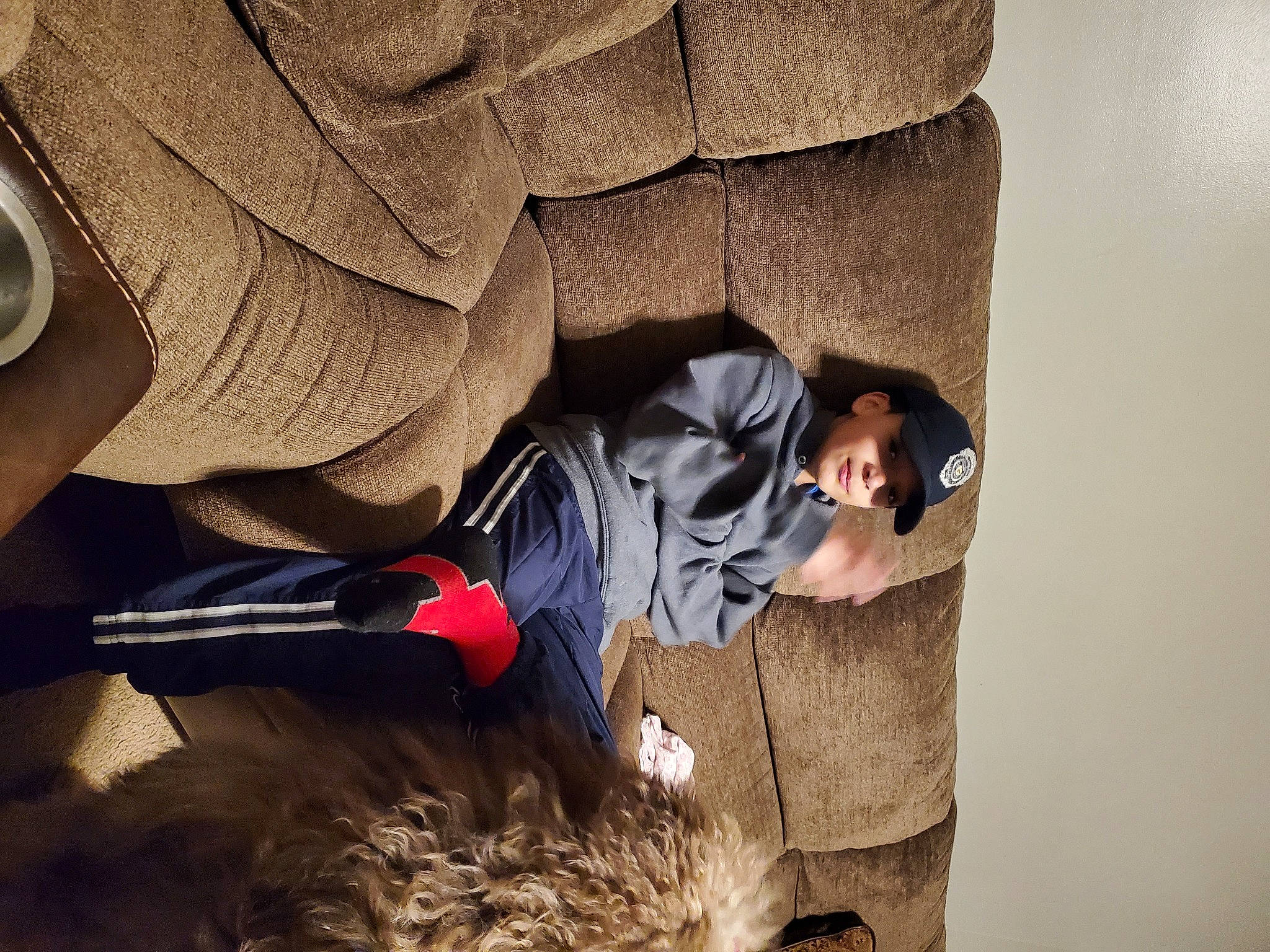 Davian is registered to the contest to win money with this photo: canidae, cat, fawn, fur, headwear, person, sporting_group