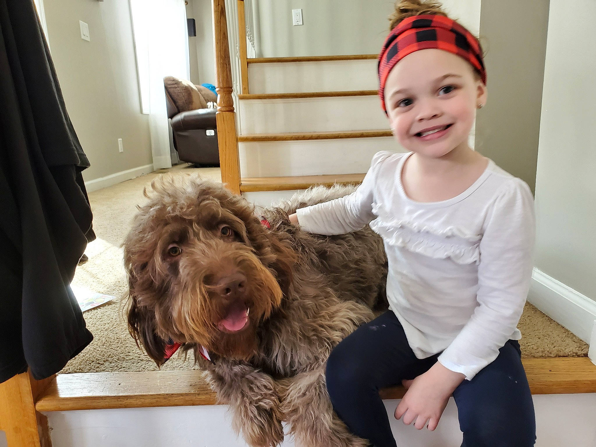 Isabella is registered to the contest to win money with this photo: barbet, bolonka, canidae, carnivore, child, cockapoo, dog, dog_breed, ear, fur, headwear, joy, labradoodle, lagotto_romagnolo, mammal, person, portuguese_water_dog, puppy_love, schnoodle, spinone_italiano