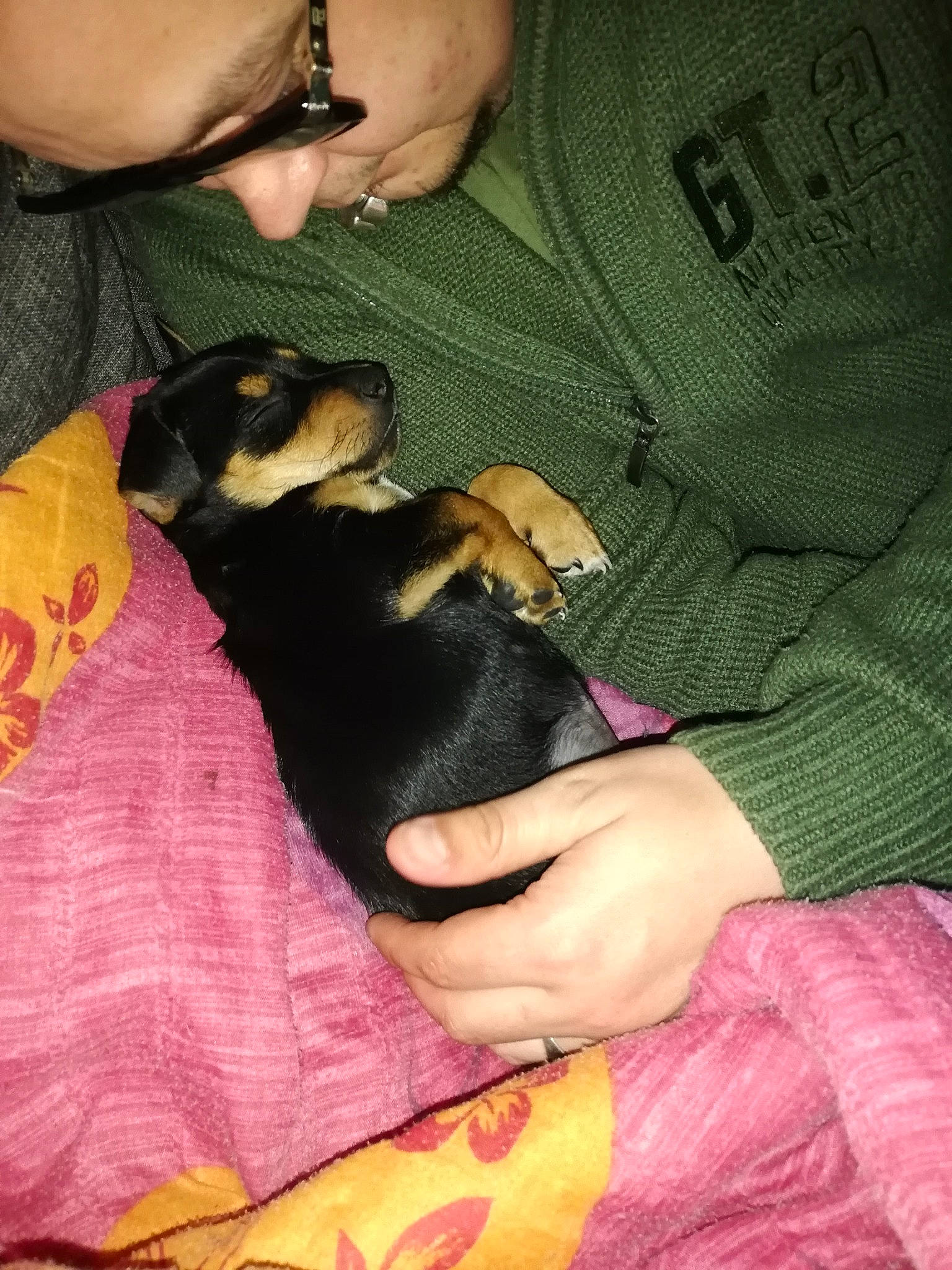 Wilo participe au concours pour gagner de l'argent avec cette photo : beard, canidae, carnivore, comfort, companion_dog, dog, dog_breed, ear, eyewear, fawn, fur, gesture, lap, nail, pinscher, snout, sporting_group, sunglasses, toy_dog, wrist