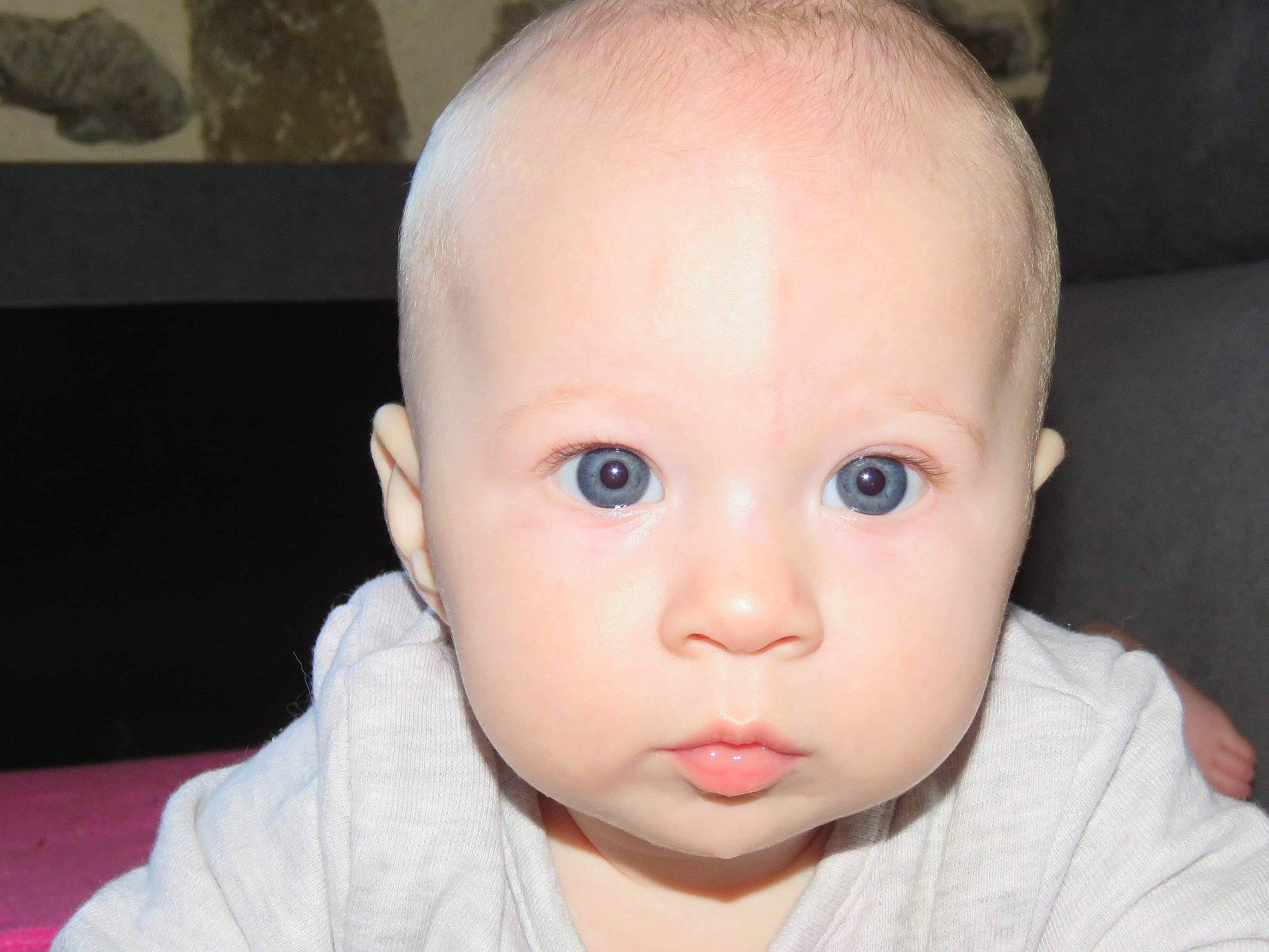 Léna participe au concours pour gagner de l'argent avec cette photo : baby, cheek, child, chin, close_up, ear, eye, eyebrow, eyelash, face, facial_expression, forehead, head, iris, jaw, lip, mouth, nose, person, skin