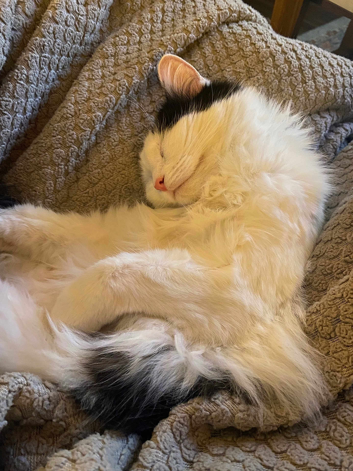 Kit Kat