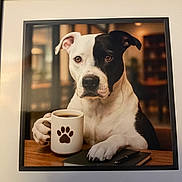 Cooper is registered to the contest to win money with this photo: dog, black_and_white, coffee_mug, paw_print, notebook, pen, table, indoor, portrait, pet, animal, cute, brown_eyes, seated, focused, domestic, canine, coffee, desk, background_blur