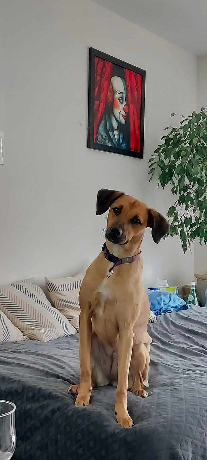 Benny
