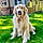 Hudson