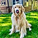 Hudson