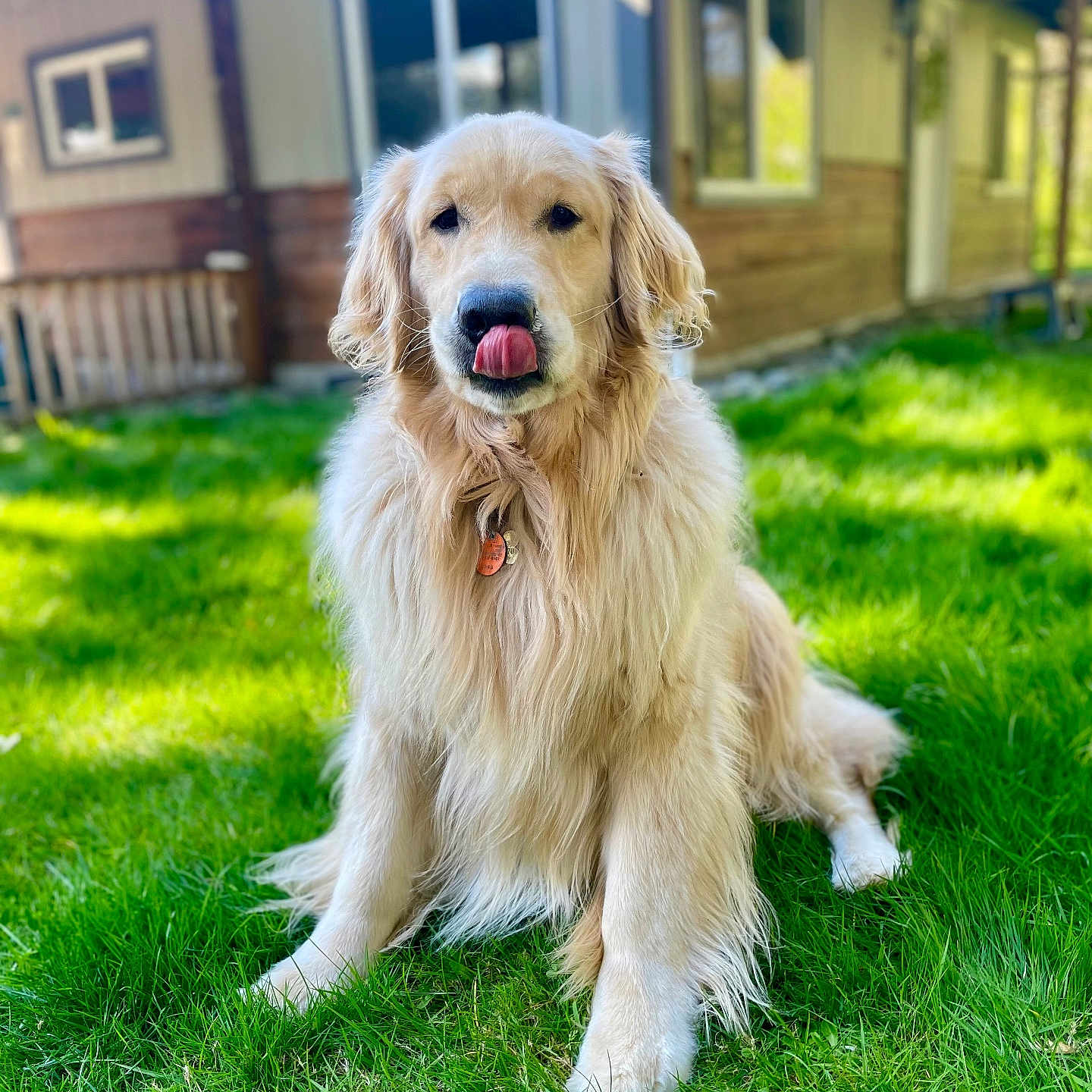 Hudson