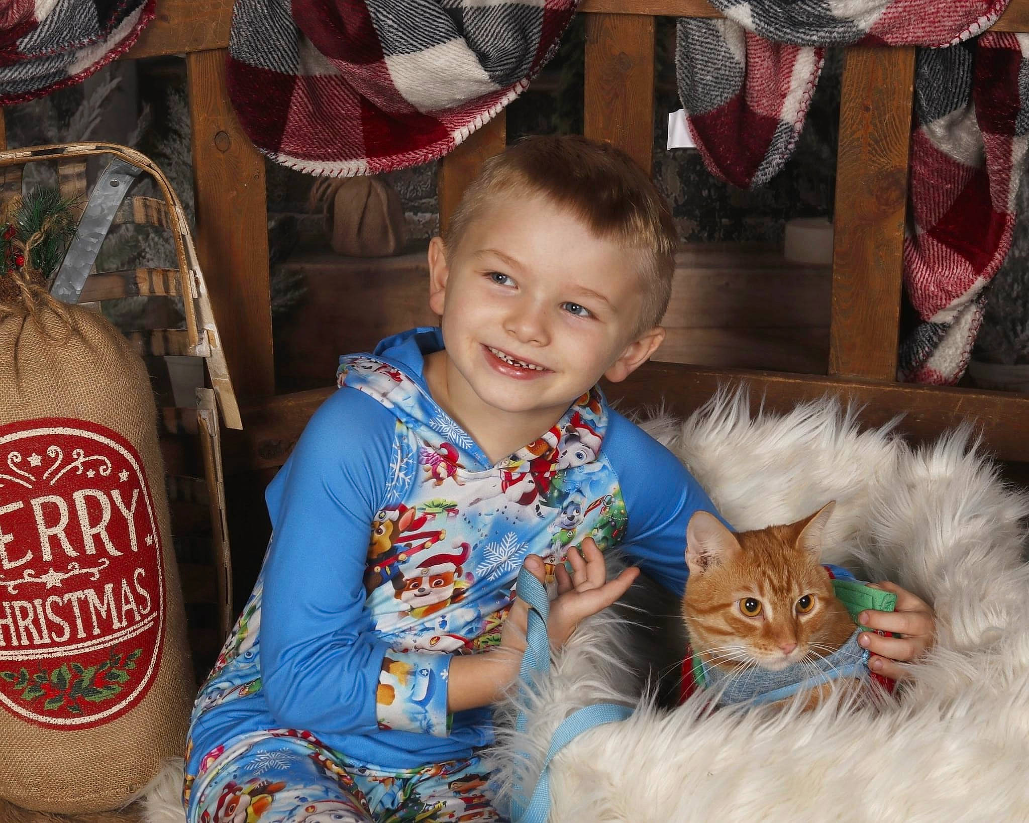 Bryson joined the competition — help win amazing prizes! beverage_can, carbonated_soft_drinks, carnivore, cat, cola, domestic_short_haired_cat, drink, event, felidae, fur, happy, holiday, iris, joy, lap, person, sitting, small_to_medium_sized_cats, smile, soft_drink