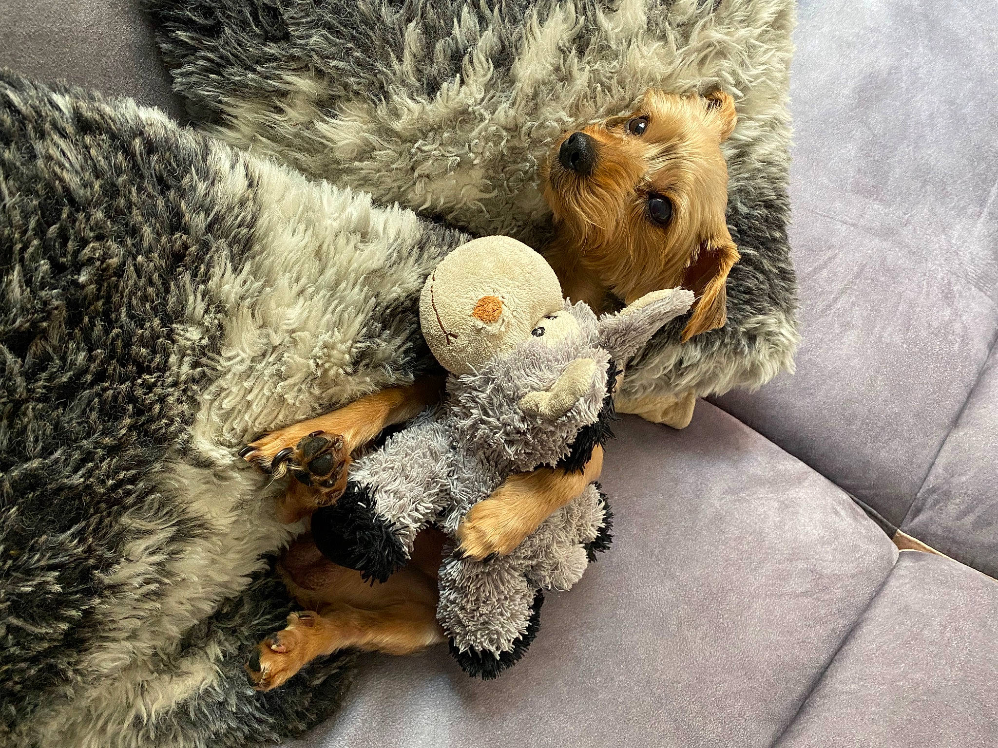 Niglo a rejoint le concours — aidez-le/la à gagner de superbes lots ! comfort, fawn, fur, grey, natural_material, plush, snout, stuffed_toy, tail, teddy_bear, terrestrial_animal, toy, wildlife, winter, wood