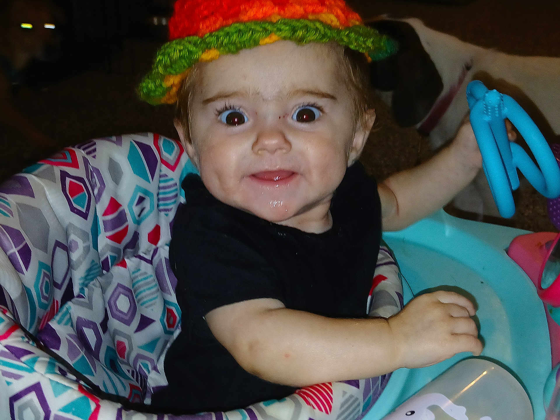Lilly joined the competition — help win amazing prizes! baby, child, hat, crocheted_hat, drool, baby_seat, patterned_fabric, toy, blue_toy, black_shirt, smile, face, hand, dog, pet, collar, indoor, person, expression, playtime