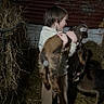 child, baby_goat, barn, hay, boots, rustic, animal, farm, livestock, petting, clothing, brown, goat, curious, indoors, rural, young, person, holding, nature