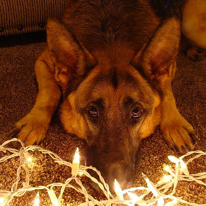 Oakley joined the competition — help win amazing prizes!