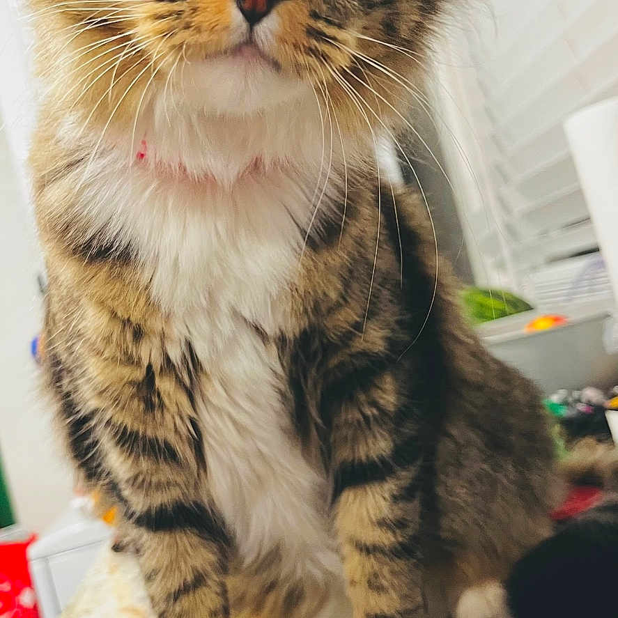 Itzy