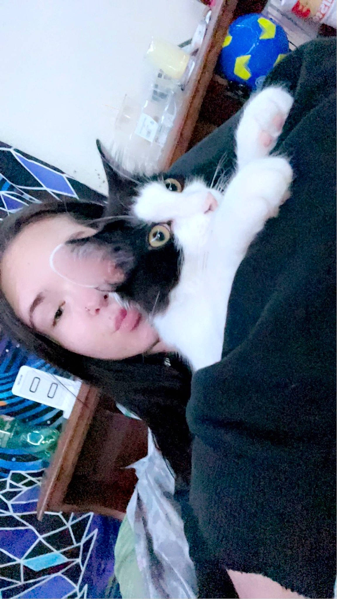 Spooky is registered to the contest to win money with this photo: bangs, black_hair, blue, canidae, child, companion_dog, dog_breed, ear, eyelash, felidae, fur, hair_coloring, hime_cut, iris, long_hair, nose, snout, textile, tree, whiskers