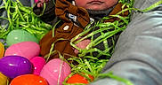 Haze is registered to the contest to win money with this photo: baby, infant, face, eyes, cushion, clothing, green_grass, easter_eggs, colorful, plastic_eggs, pink, purple, orange, blue, brown_jacket, indoor, portrait, cute, decorative_grass, newborn
