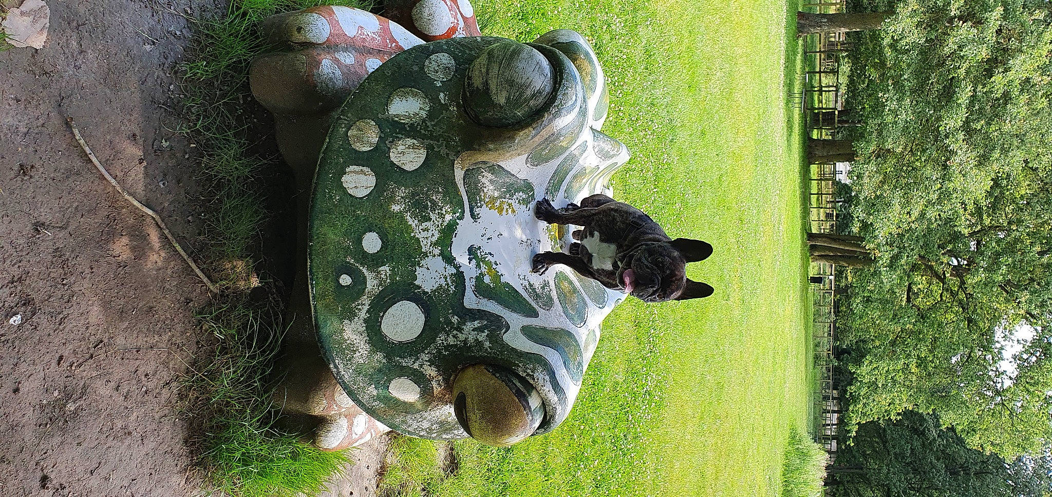 Horus participe au concours pour gagner de l'argent avec cette photo : amphibian, art, grass, helmet, lawn_ornament, personal_protective_equipment, plant, reptile, sculpture, terrestrial_animal, tree, trunk, wildlife, working_animal