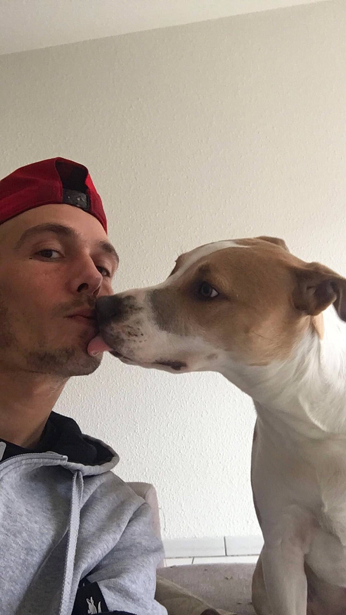 Pablo a rejoint le concours — aidez-le/la à gagner de superbes lots ! baseball_cap, beard, cap, carnivore, collar, companion_dog, dog, dog_breed, ear, eyebrow, fawn, gesture, happy, jaw, kiss, nose, selfie, snout, whiskers, working_animal