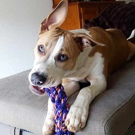 Pablo