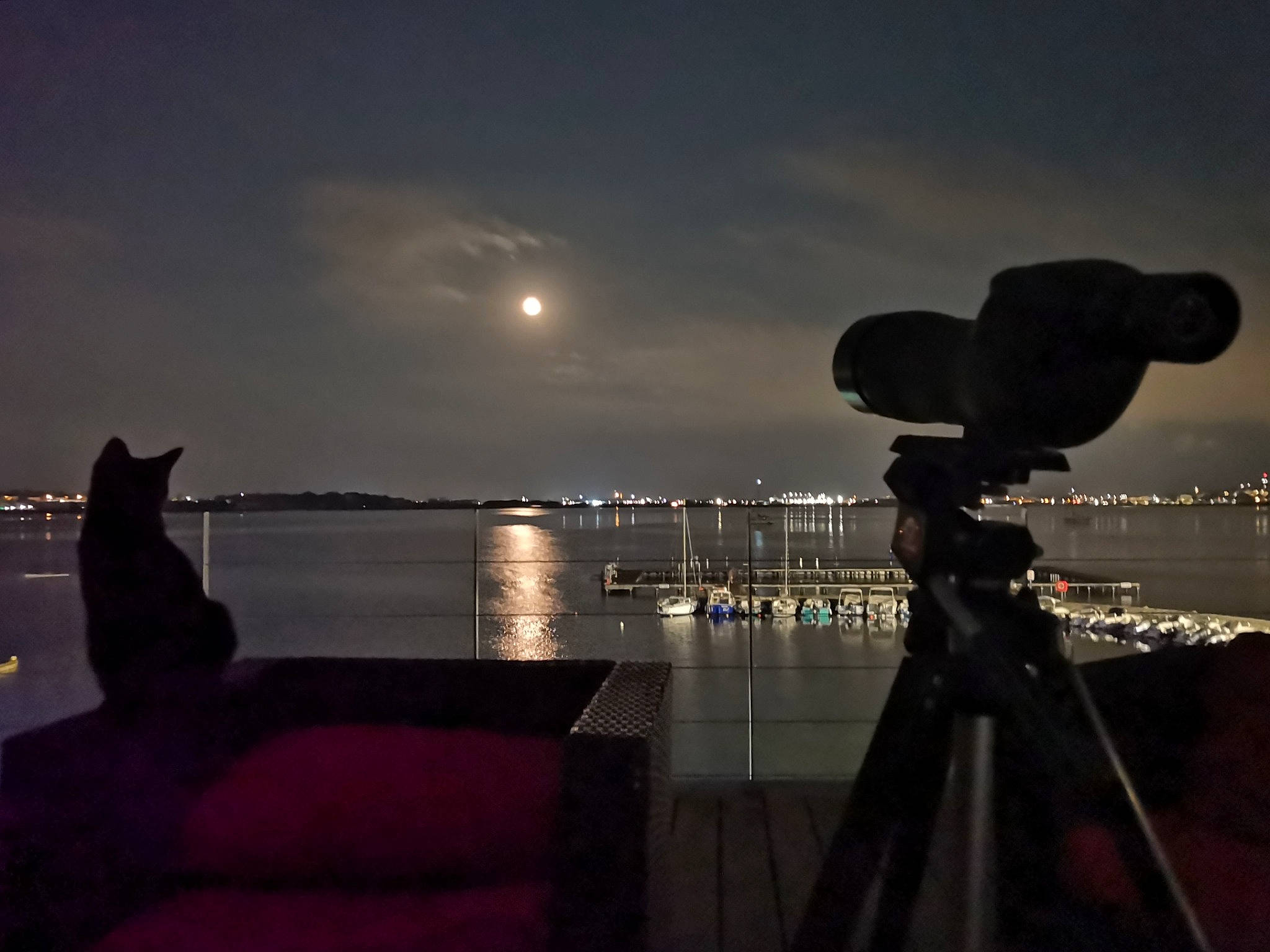 Noa participe au concours pour gagner de l'argent avec cette photo : astronomical_object, atmosphere, atmospheric_phenomenon, camera_lens, cat, cloud, couch, dusk, flash_photography, horizon, lake, lighting, midnight, moon, reflex_camera, sky, studio_couch, tints_and_shades, tripod, water