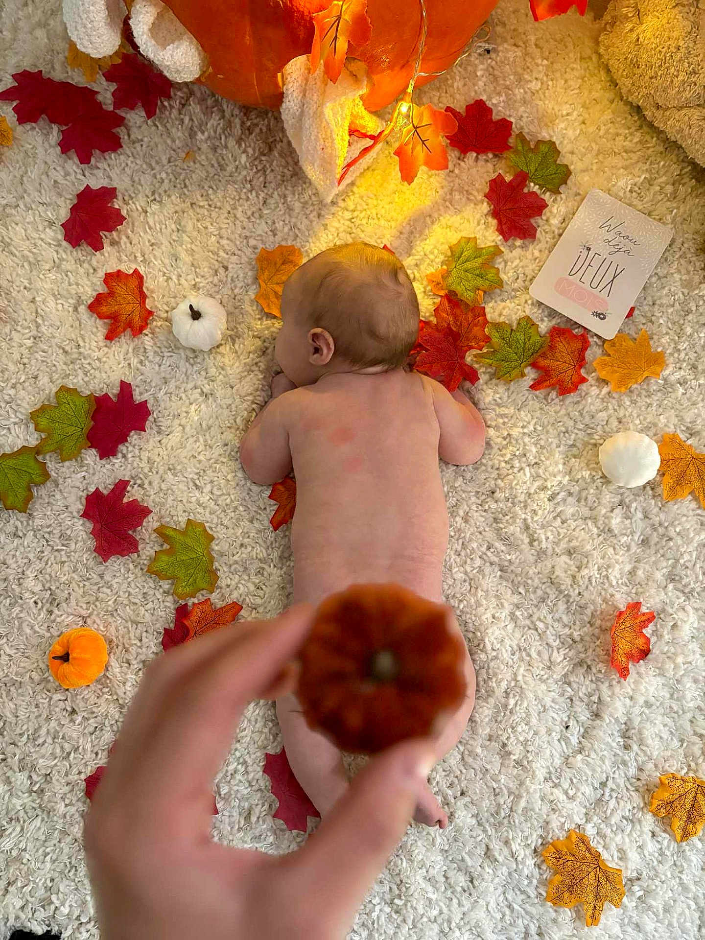 Maëlya participe au concours pour gagner de l'argent avec cette photo : baby, autumn_leaves, pumpkin, hand, rug, fall_theme, infant, cozy, orange, red, yellow, green, white, cute, seasonal, decor, soft_texture, small_pumpkin, baby_back, playful